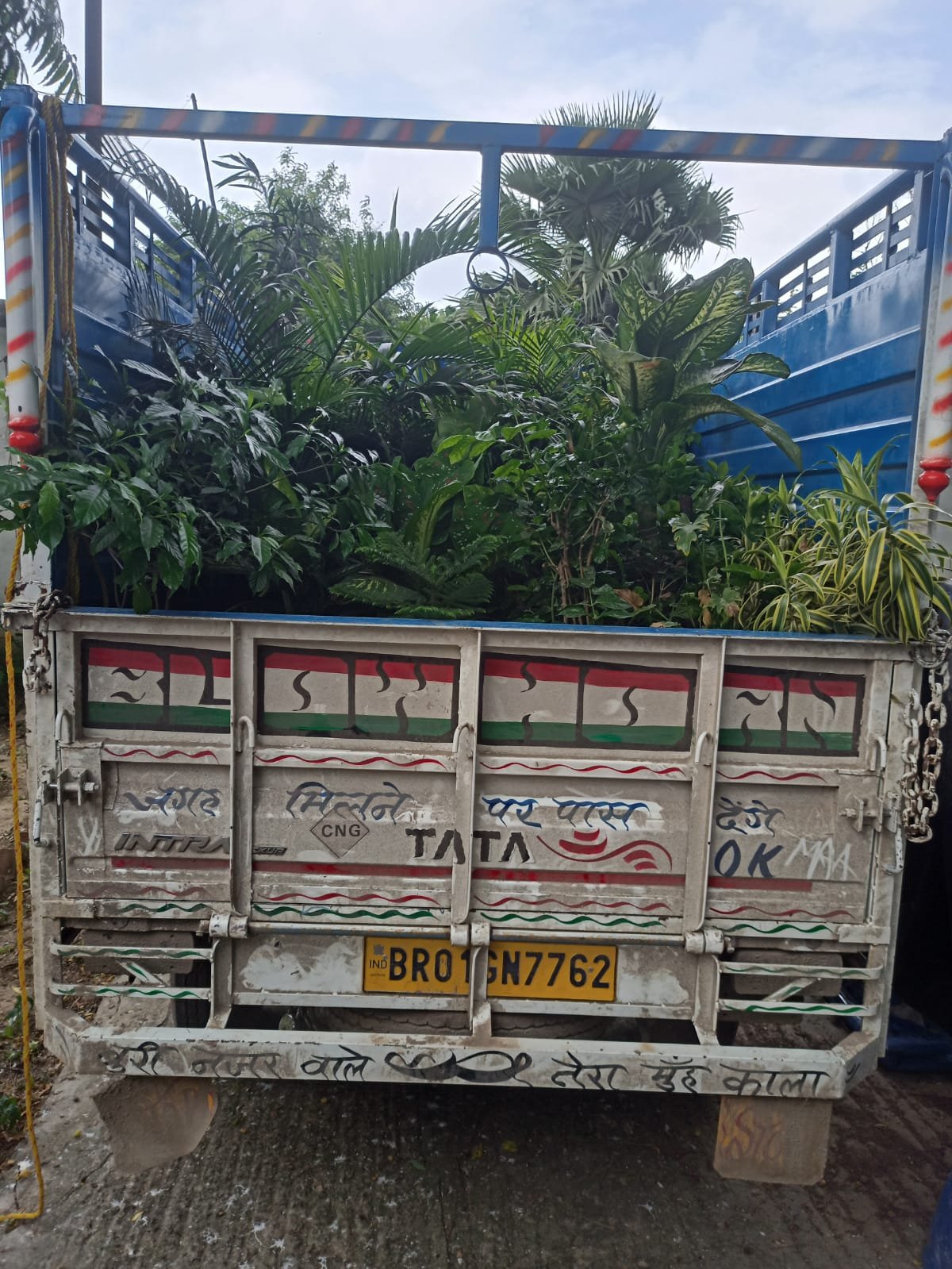 Loading Mehar Cargo Packers in Patna